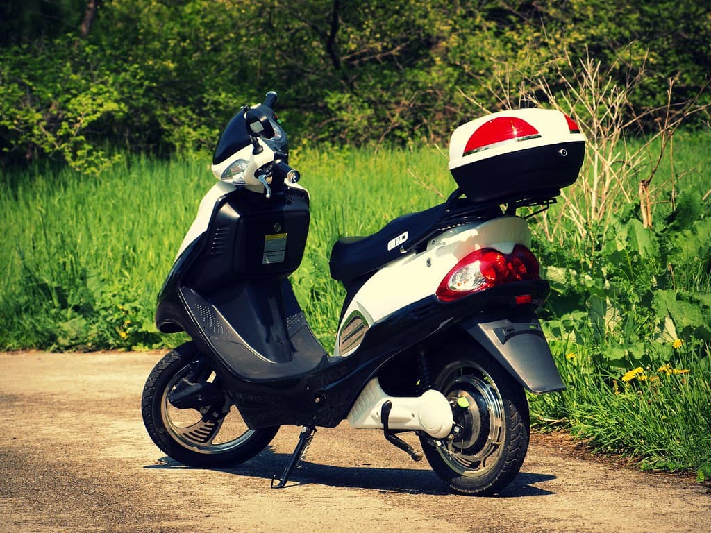SARAZ M1